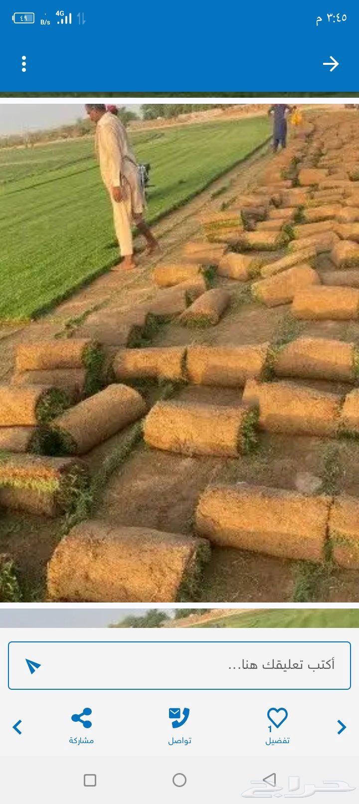 تيل طبيعي64182527508226114