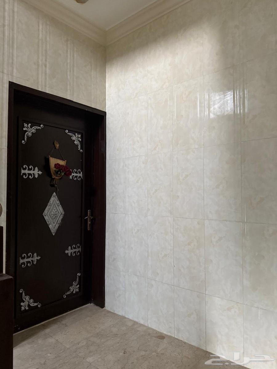 شقة عوايل للايجار - خميس مشيط - النسيم64153734923138112