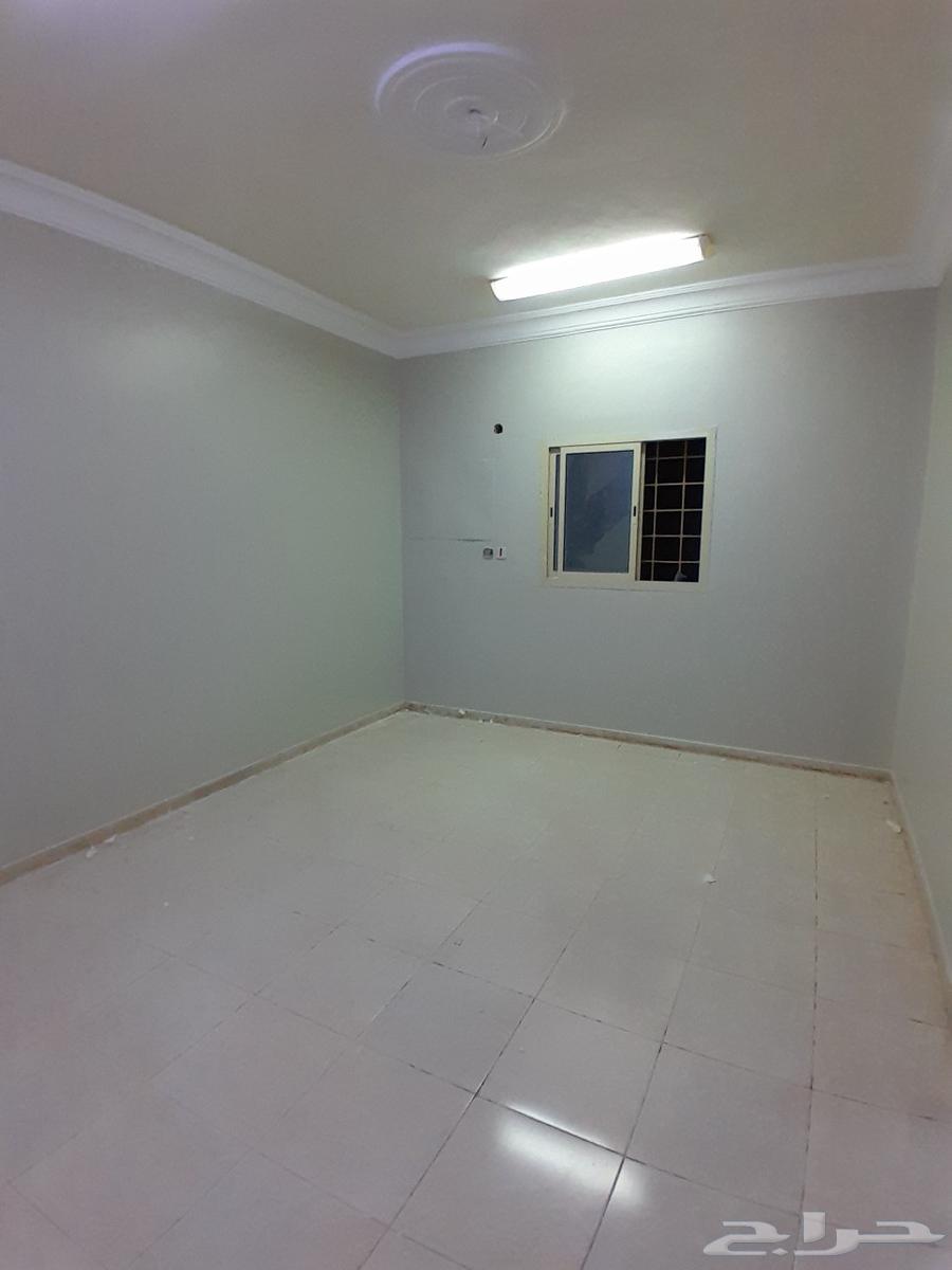 اصباغ الشرقية64182531037826111