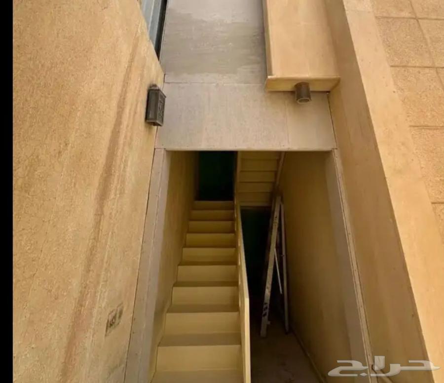 Pergolas, Screens and Canopies64185178968578113