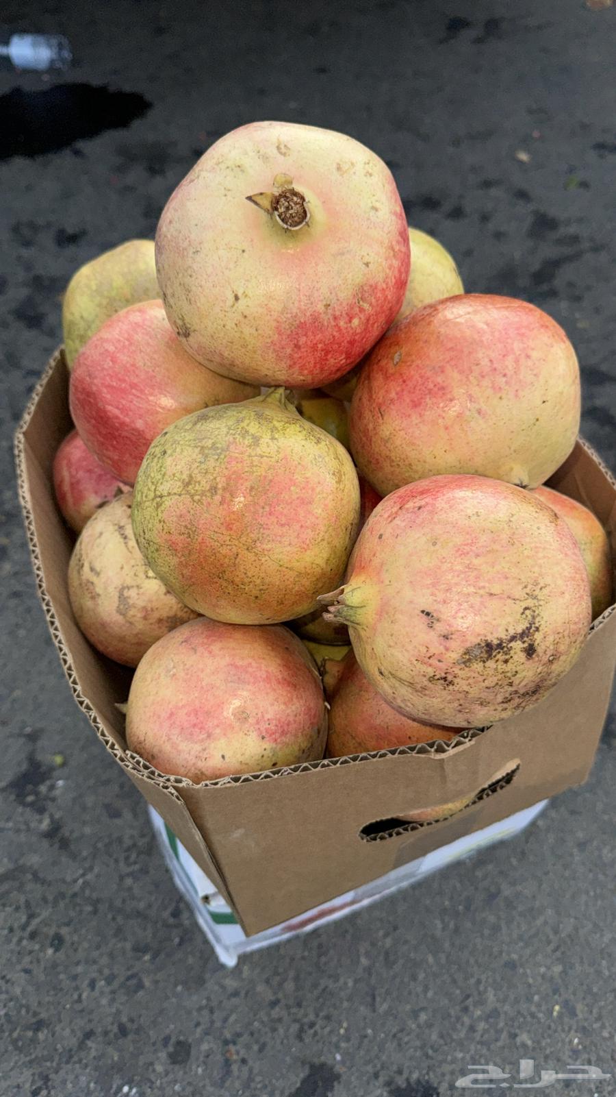 رمان بيده فاخر من الأخر64445296274817113