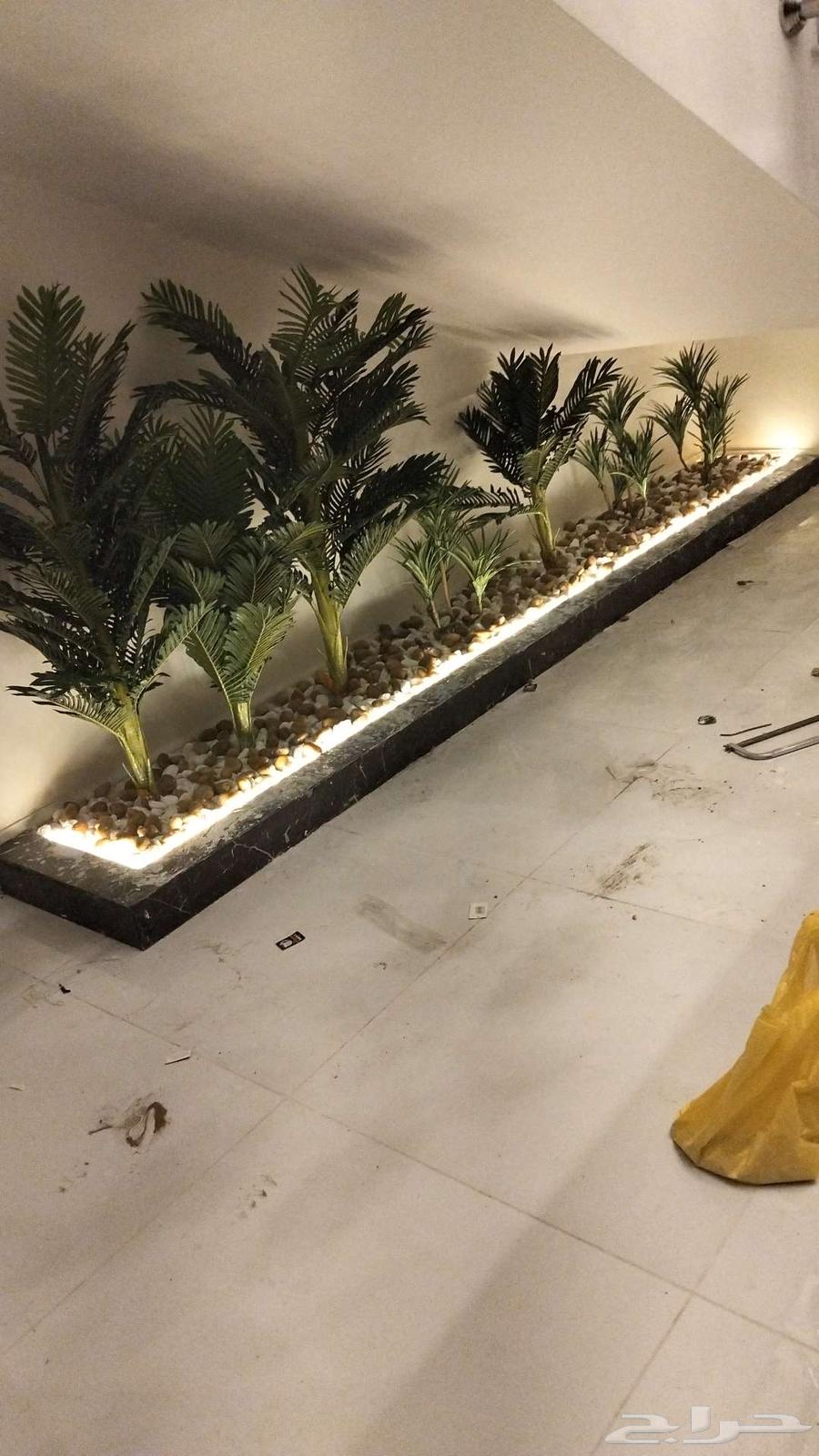 الجمال التنسيق الحدائق64184965500034114