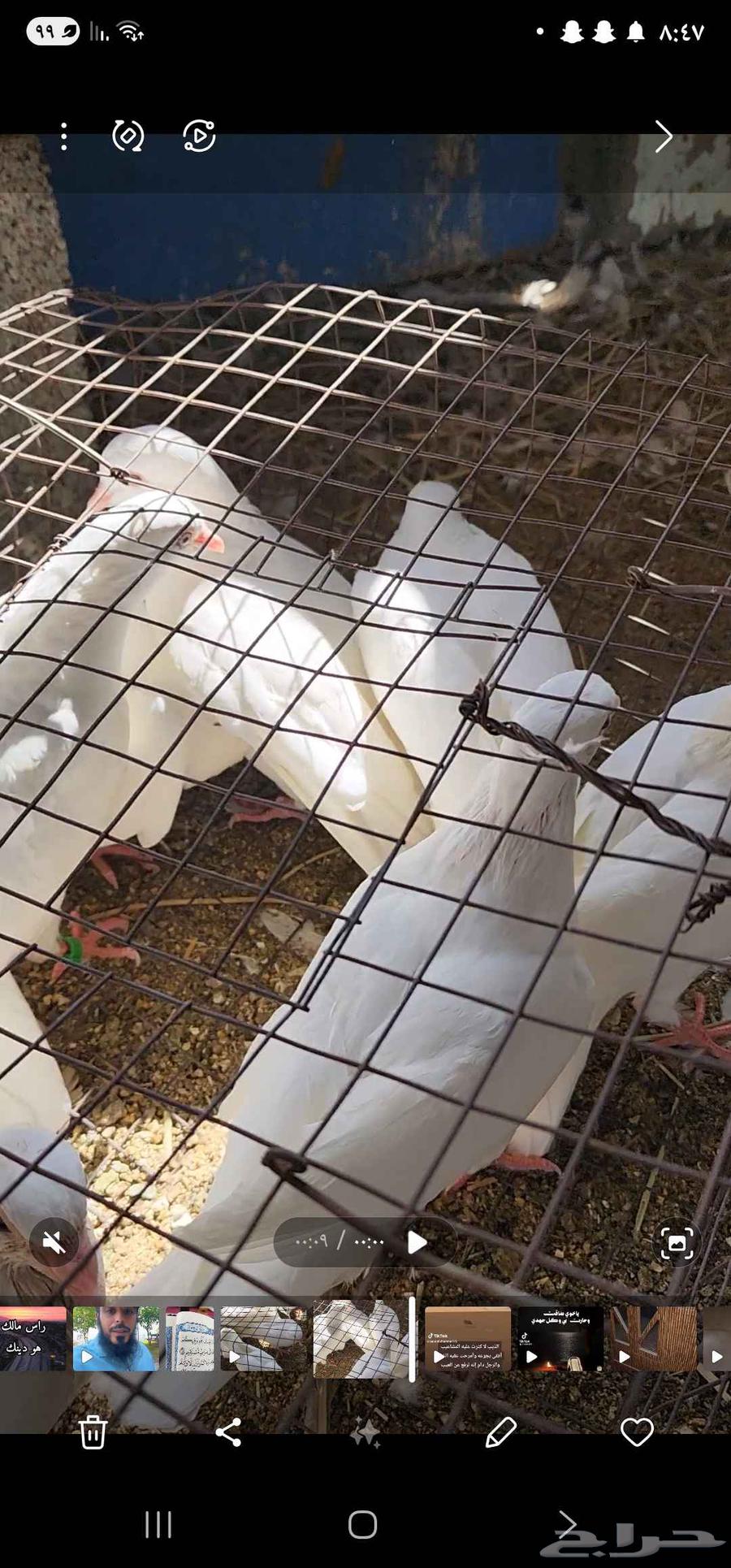 حمام سوبر جامبو أبيض64184962162306111