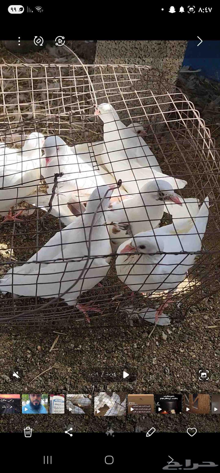 حمام سوبر جامبو أبيض64184962162306110