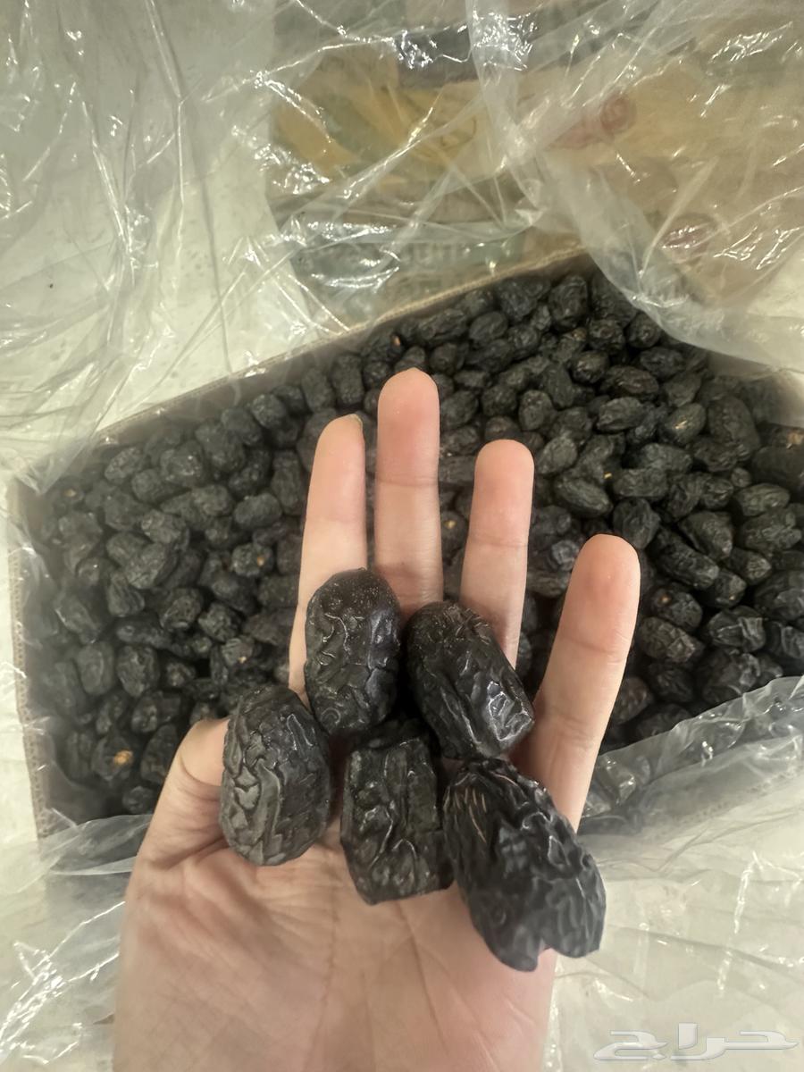 عجوة مبرومة جملة انتاج هذه السنة 1447 هجري64415370774787114