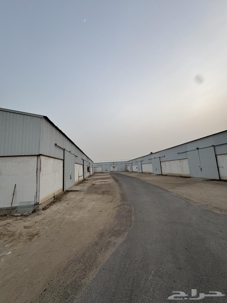 مستودعات للايجار الهفوف خط قطر64154212901506110