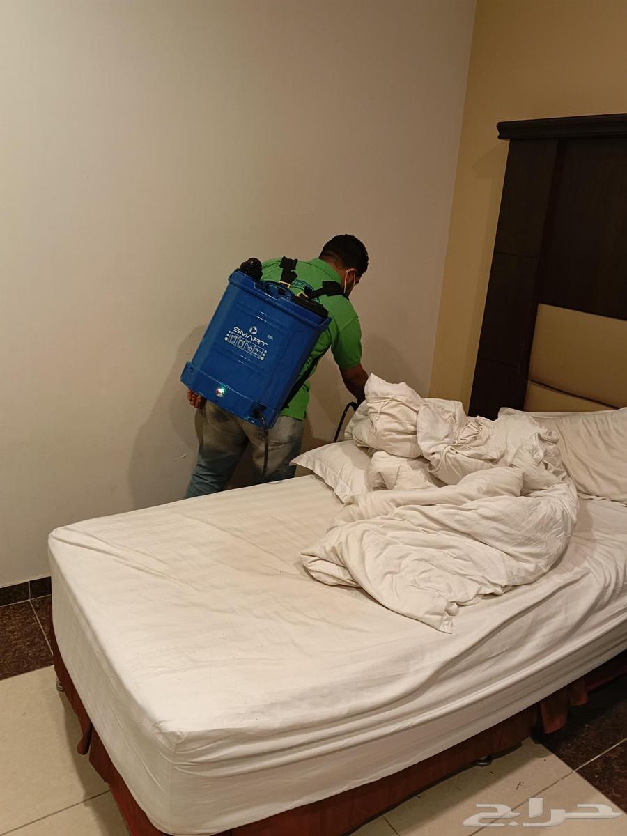 شركة جوتال العالمية لصيانة وتشغيل مكافحة حشرات في جدة64183644954371110