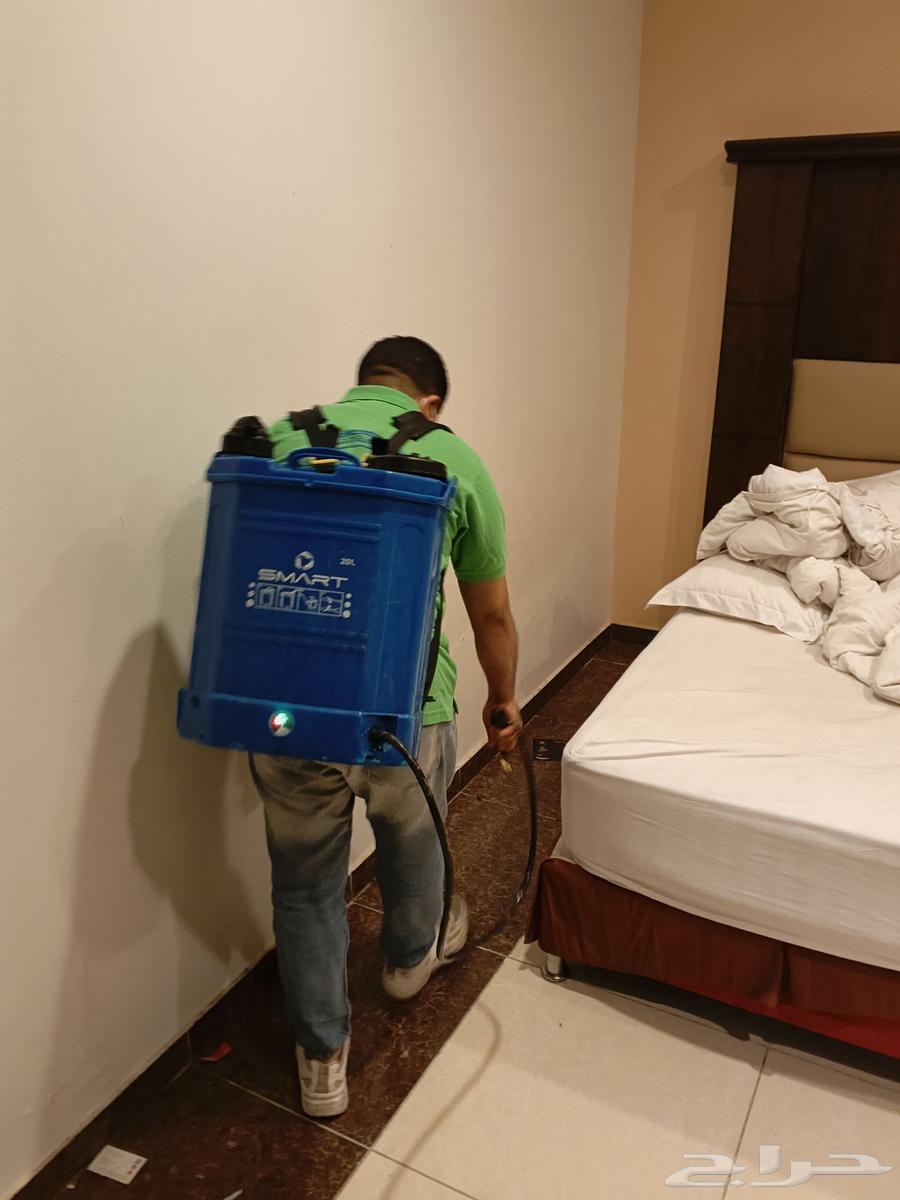 شركة جوتال العالمية لصيانة وتشغيل مكافحة حشرات في جدة64183644954371111