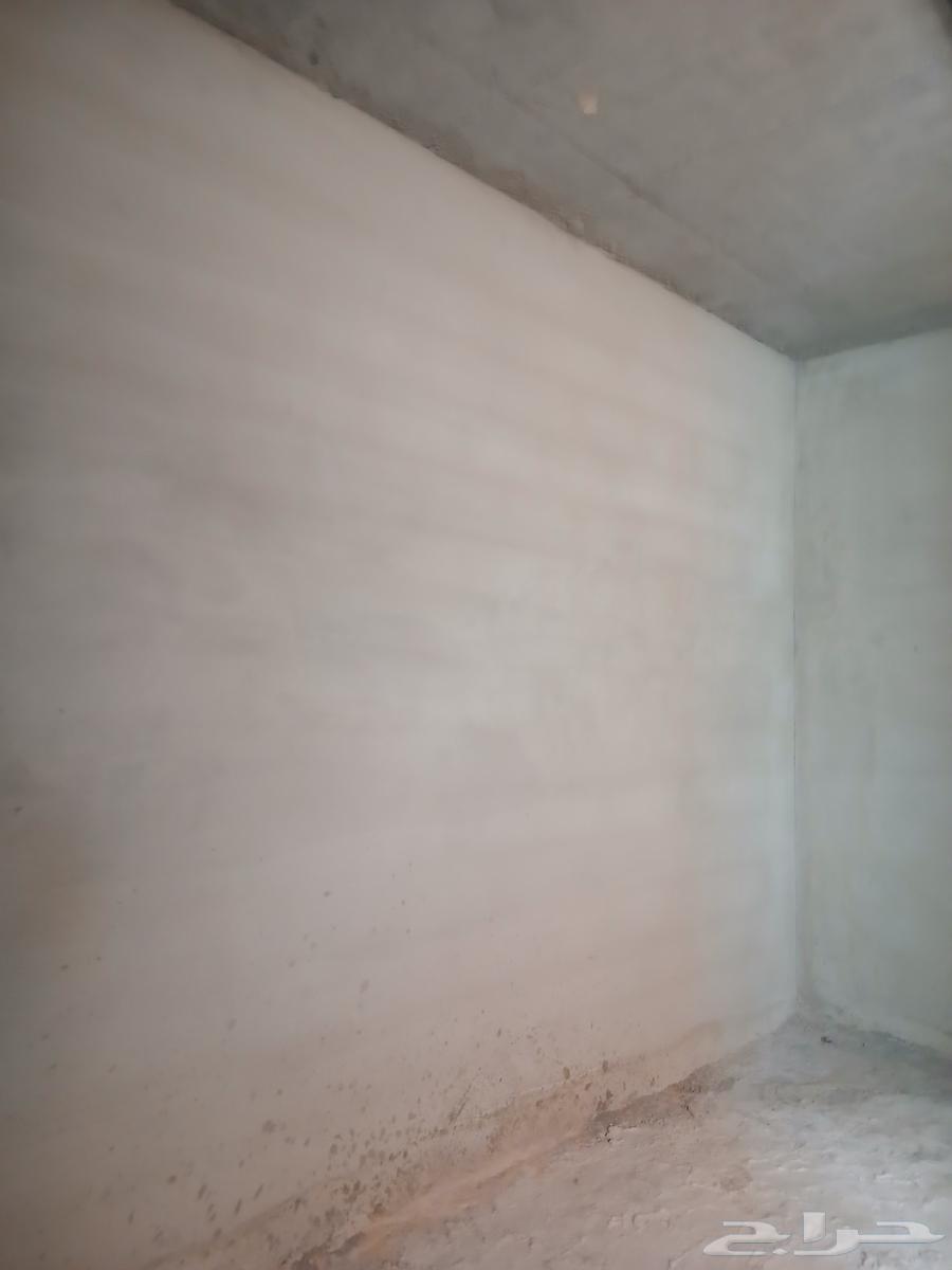 معلم لياسة مصري شغل داخلي وشغل خارجي64183830242177111