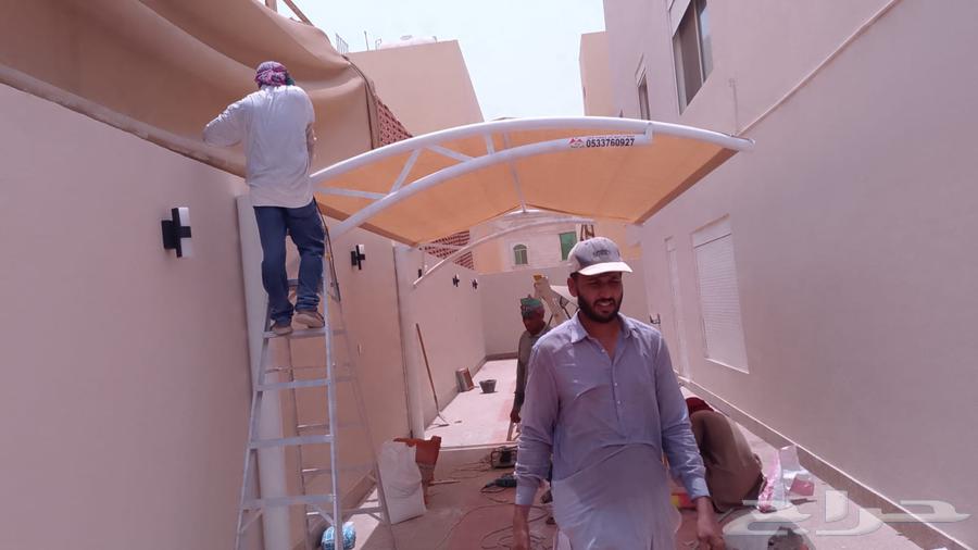 Pergolas, Screens and Tents64183830196482112