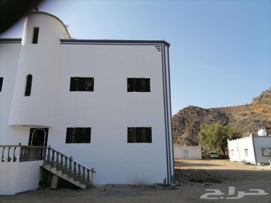 دهان خميس امشيط64184731240321112