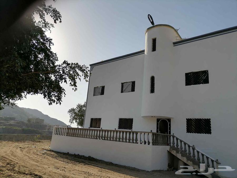 دهان خميس امشيط64184731240321111