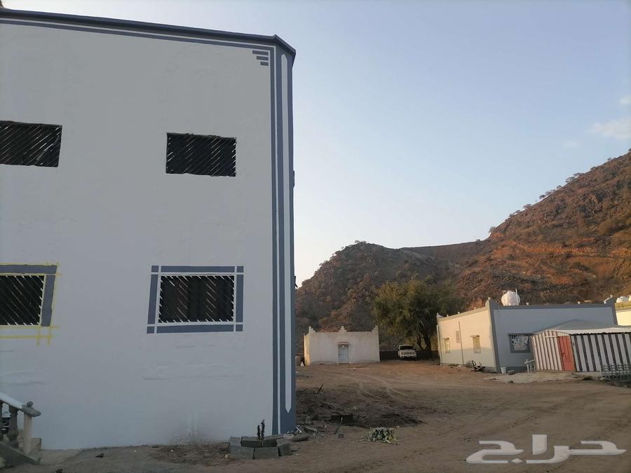 دهان خميس امشيط64184731240321113