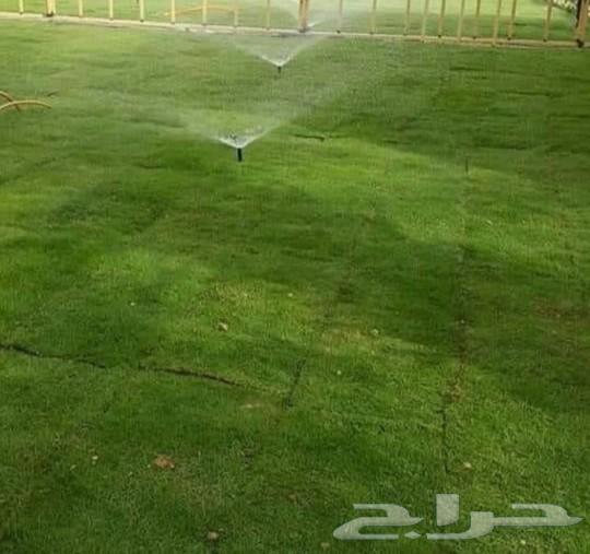 تنسيق الحدائق بالأحساء64183648099586111