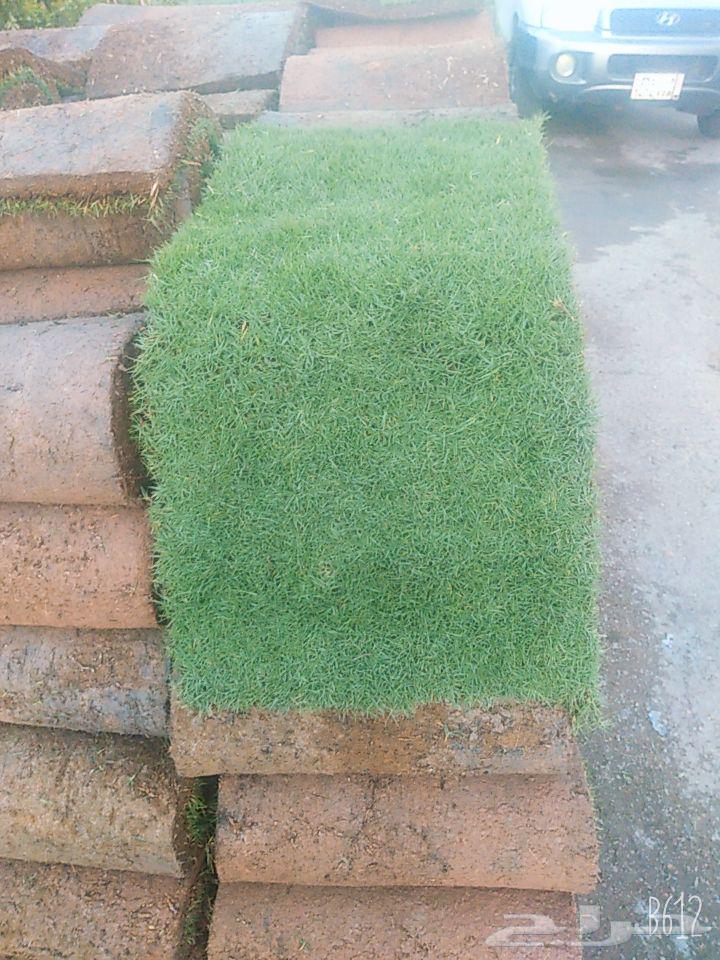 Abu Zyad Landscape Design, Waterfalls, Fountains, and All Types of Artificial Grass and T64536445991810111