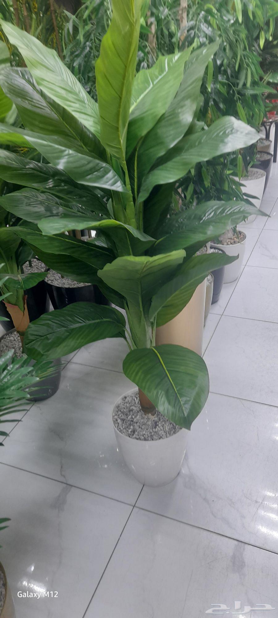 Abu Mohammad Landscape Design64184965557762111