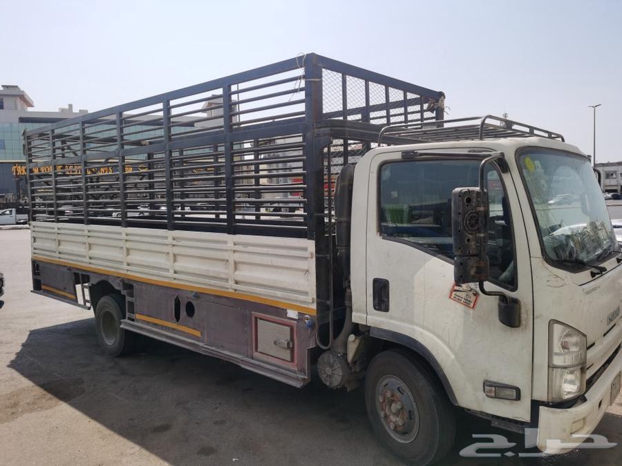 دينه نقل عفش وبضايع 6 متر64226853606019111