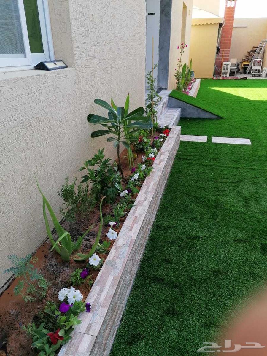 الجمال التنسيق الحدائق64184965500034113