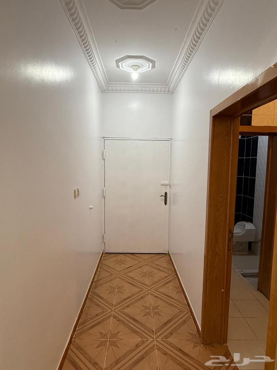 شقة للايجار عوايل خميس مشيط (الاسكان )64154212613505112