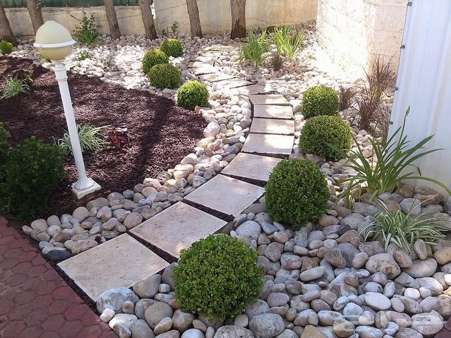 زراعه وتنسيق وتصميم الحدائق المنزليه والمشاريع الزراعية64184732275203110