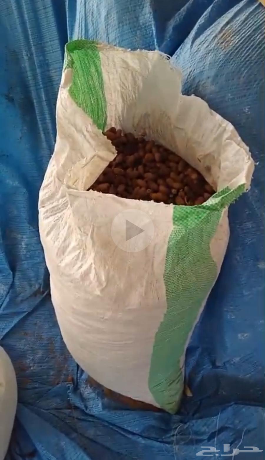 تمر للحلال للبيع64545288750595110