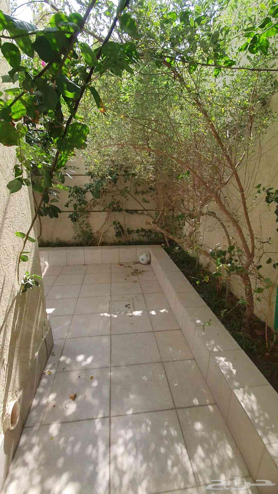 تنسيق حدائق الرياض64185589180547111