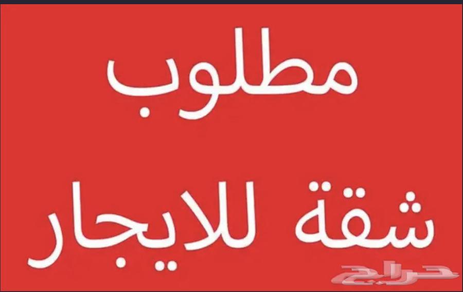 ابحث عن شقة عوائل للإيجار الشهري64154893565570110