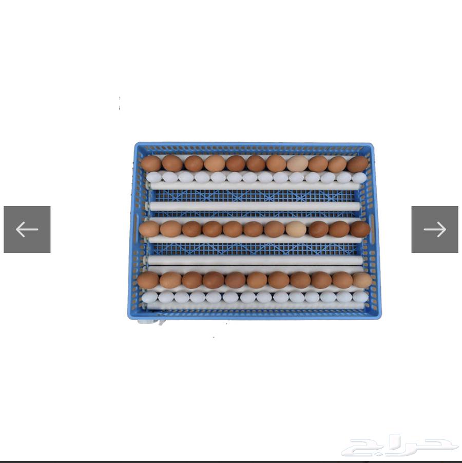 فقاسة بيض فل اوتوماتيك نظام تبريد64444405192962111
