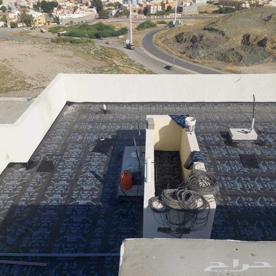 Insulation and Epoxy64186538145025110