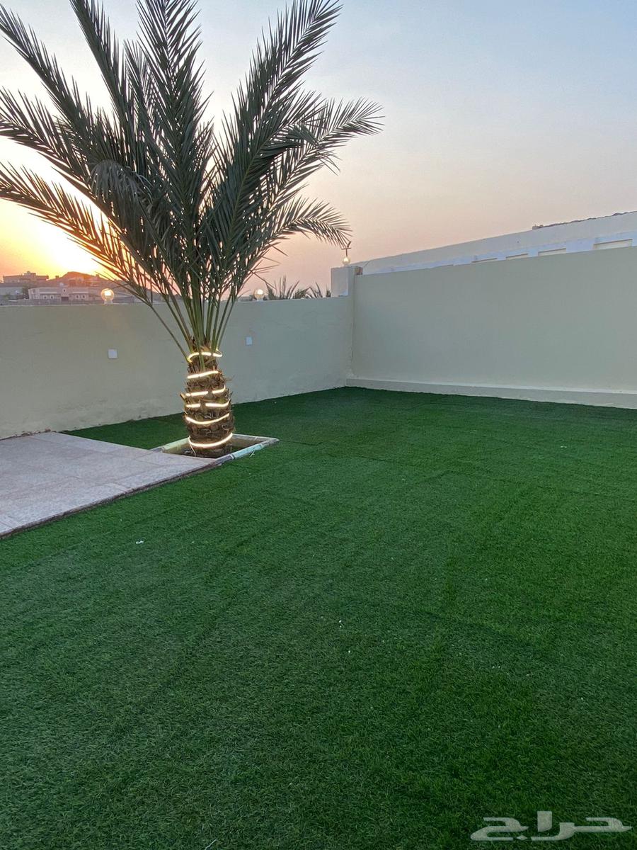 Chalet64155116000131113