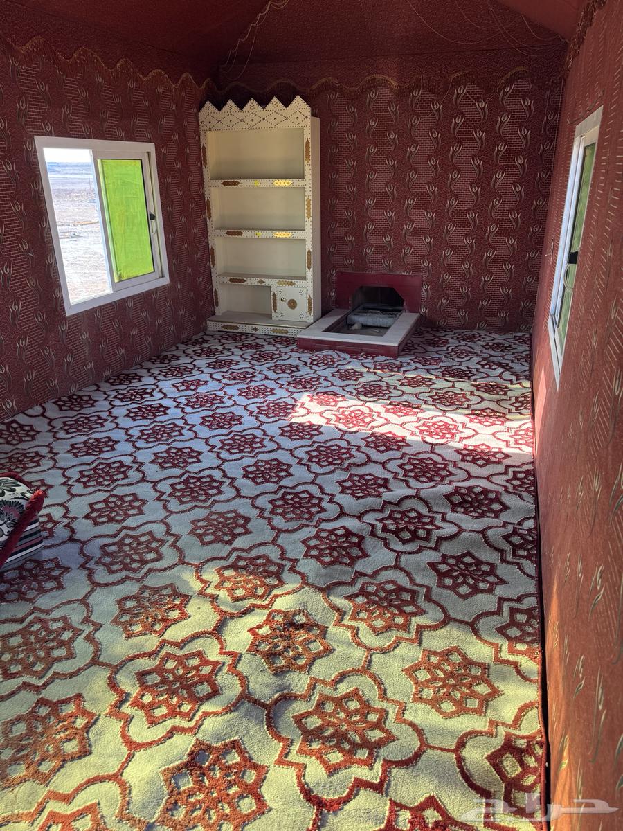 كرفان على تصميم بيت شعر64611517693697114