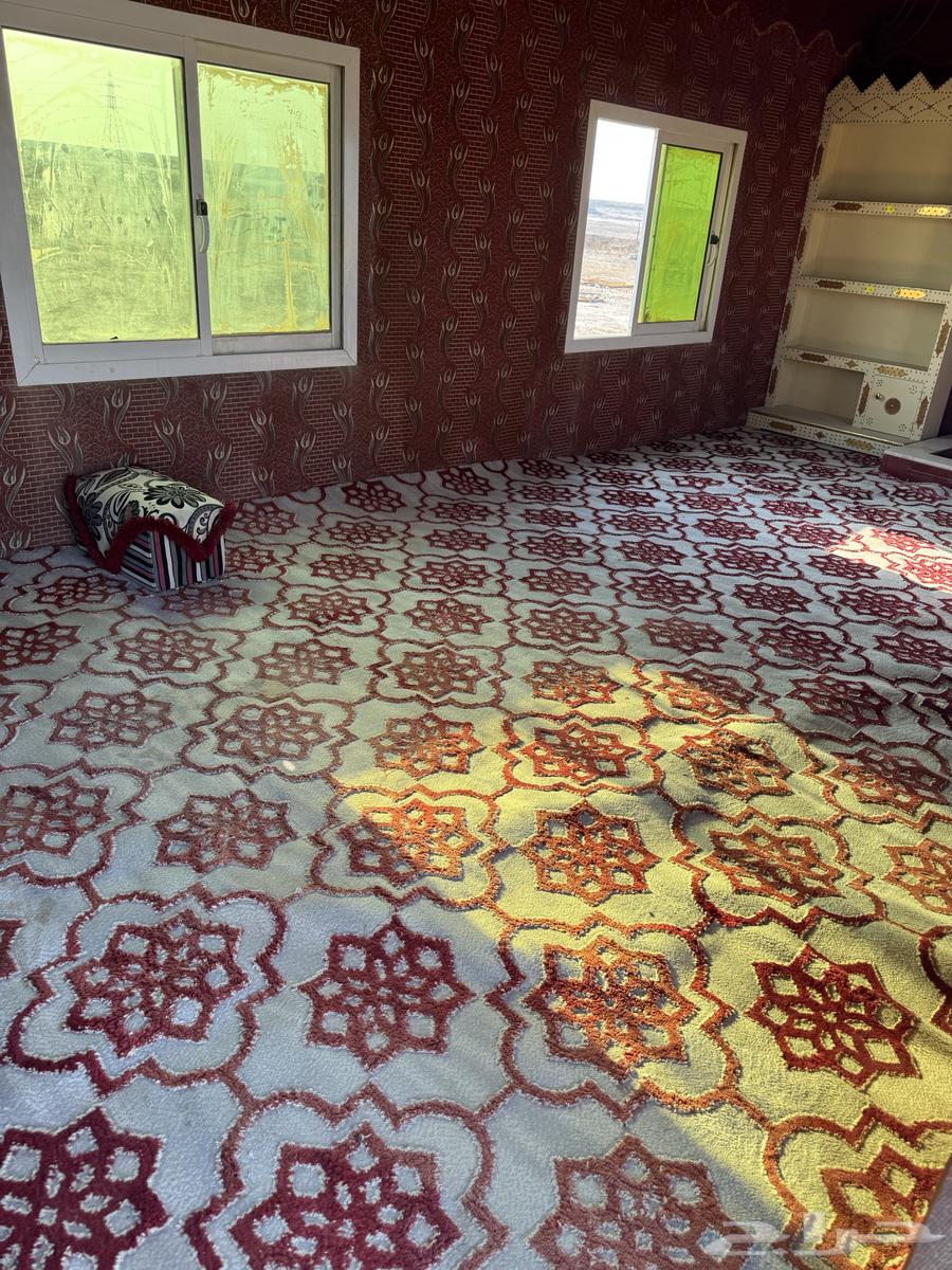 كرفان على تصميم بيت شعر64611517693697113