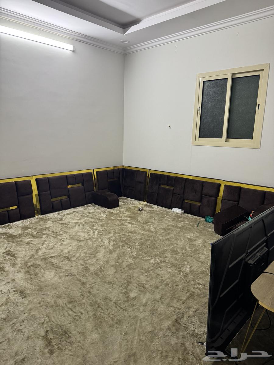 Back support length 7 width 464407168626050113