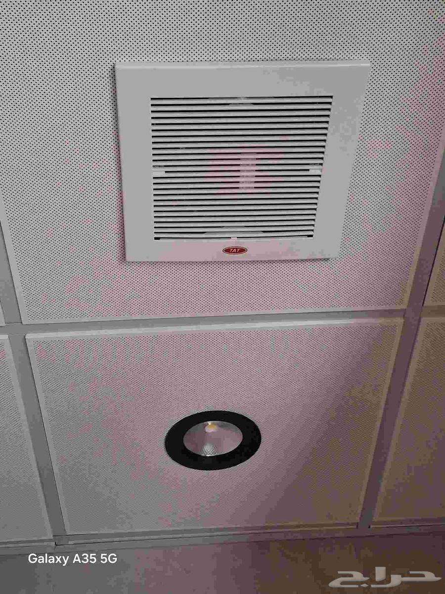 Ceiling Decorations64185588182401110