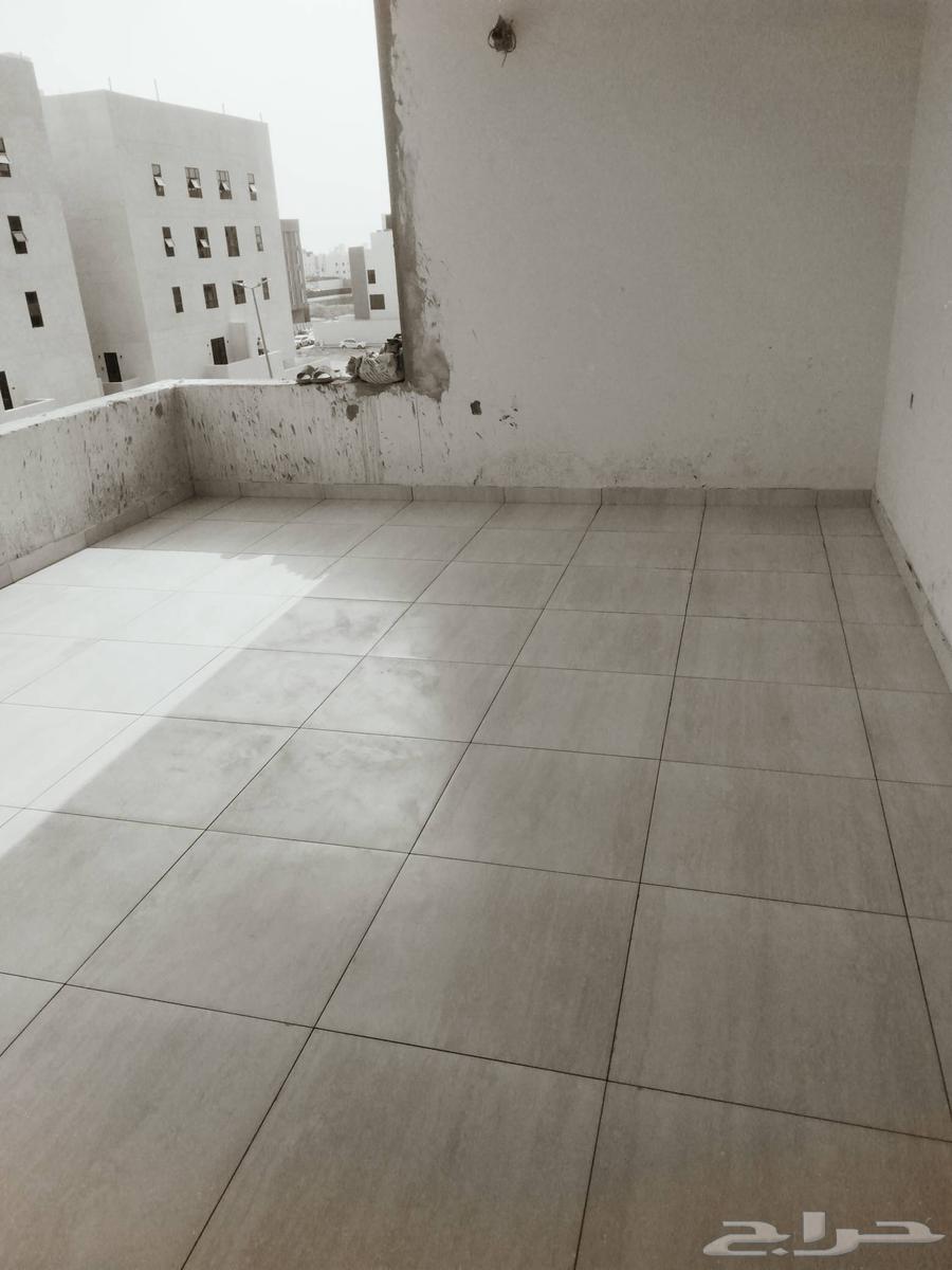 معلم سراميك وبرسلين ورخام64186537889921113