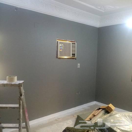 لمسة فن لدهانات وااديكورات64185587879555111