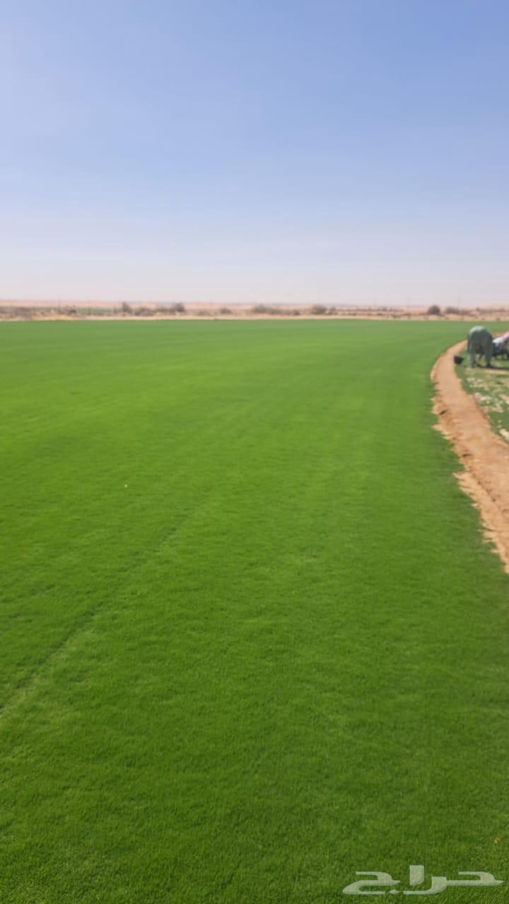 منسق حدائق القصيم64185590253697114