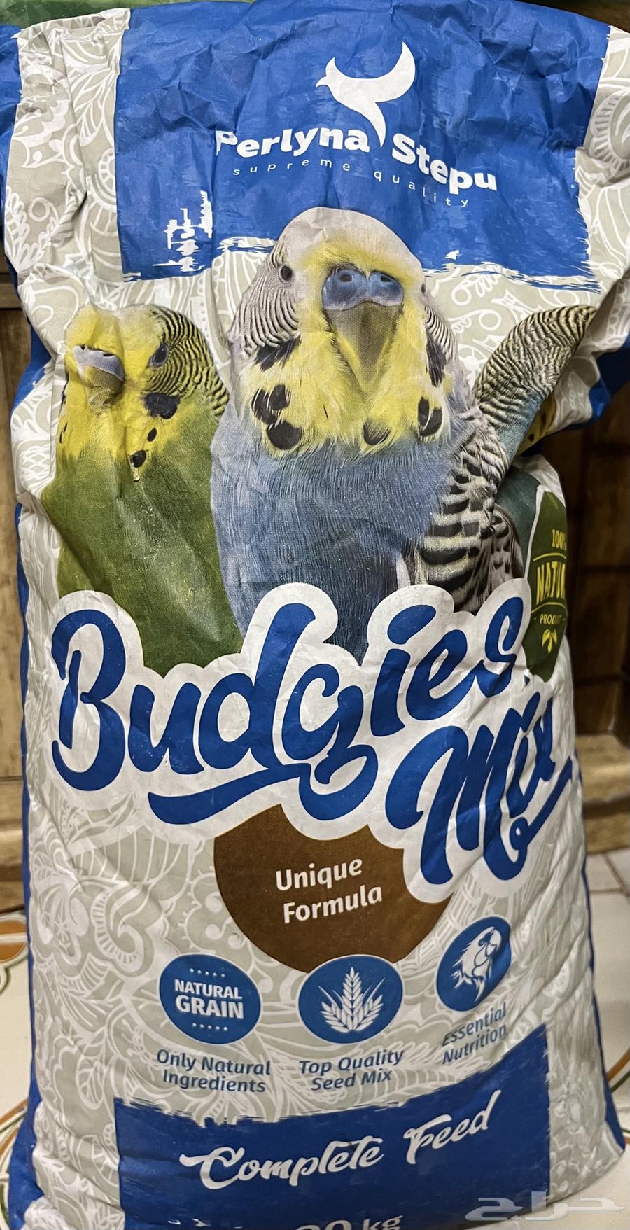 اكل بادجي ( طيور الحب )64415625904258112