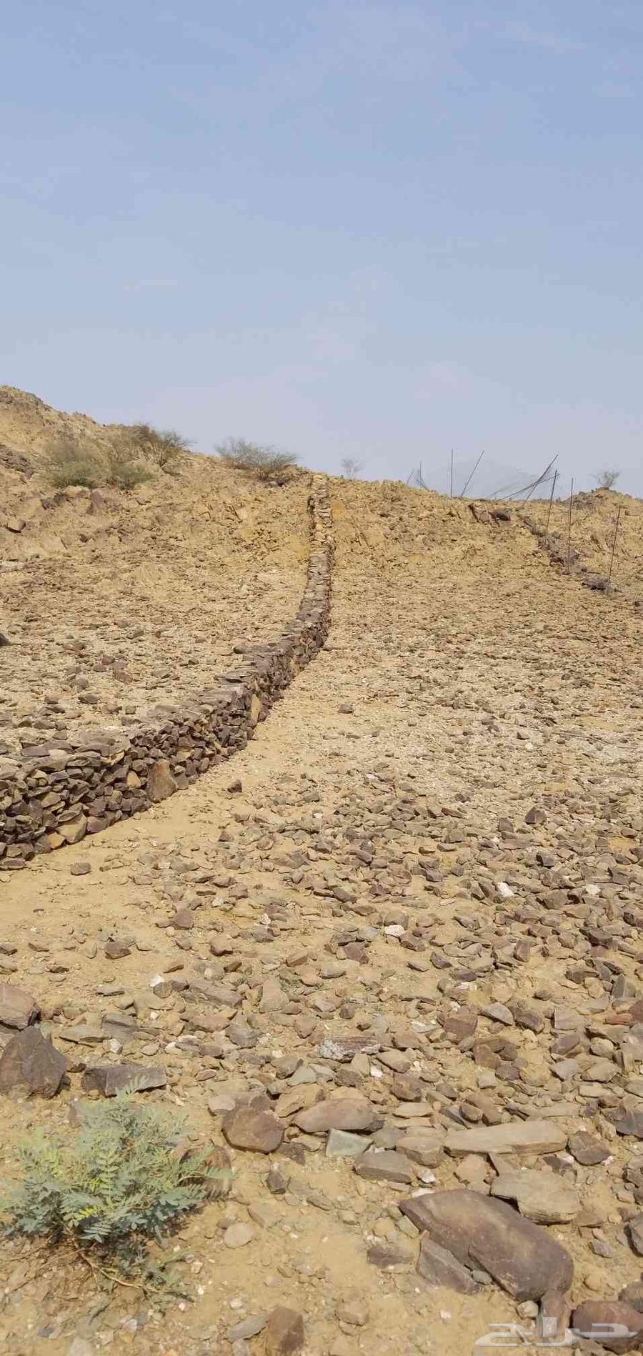 مقاااوال حجر بنيانت بوكلين وقص ارضي وربراب وتلبيس وبنيانت يد64392744897025110