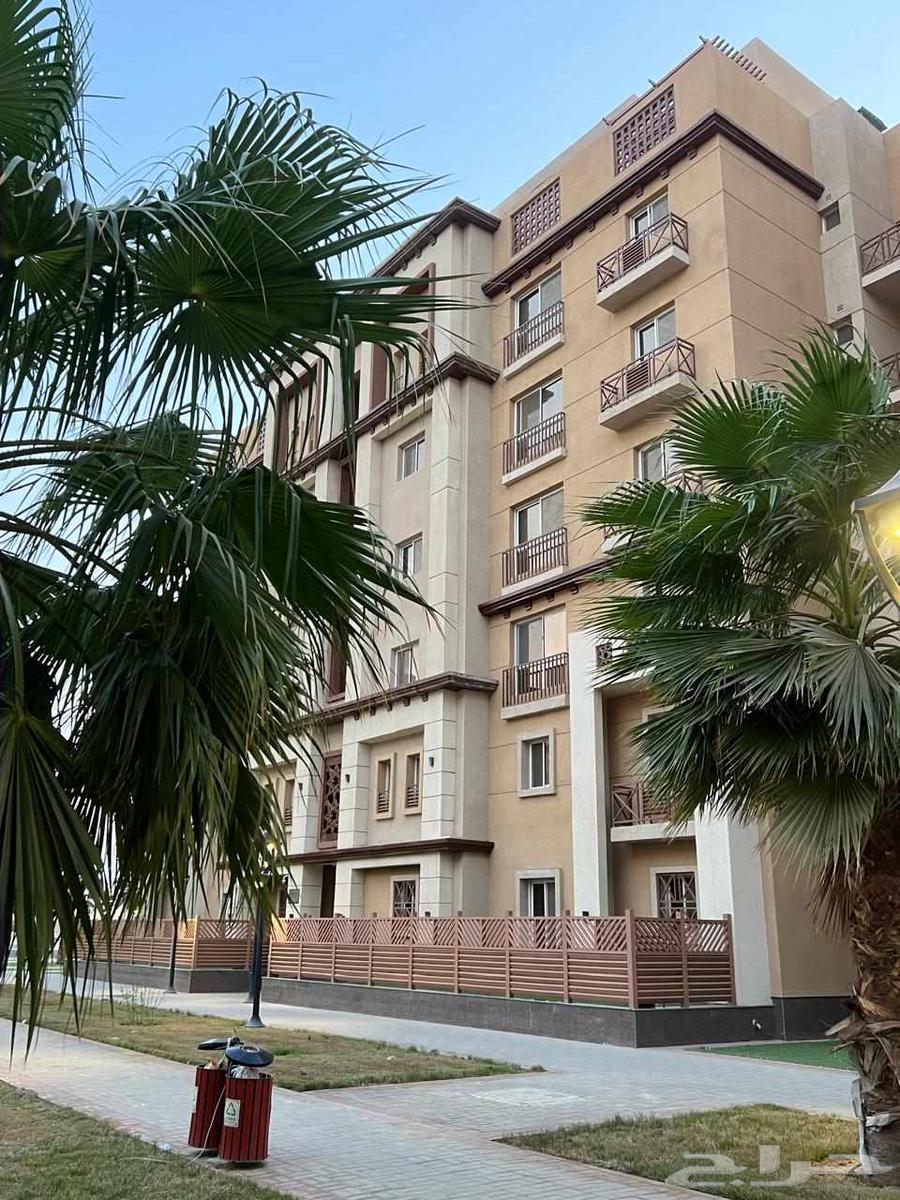 شقة للإيجار