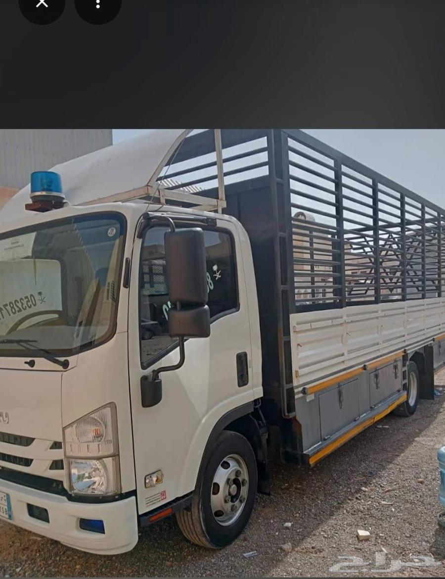 دينه دينا كنتر صامطة أحد المسارحة64185797433474110