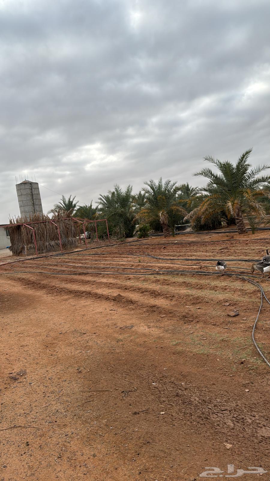 س ت ر ا حة للبيع64187260955395113