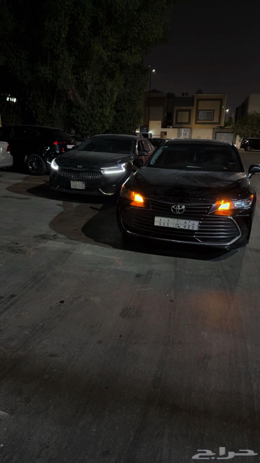 A Distinctive Painting by Qahtan64614235162115113