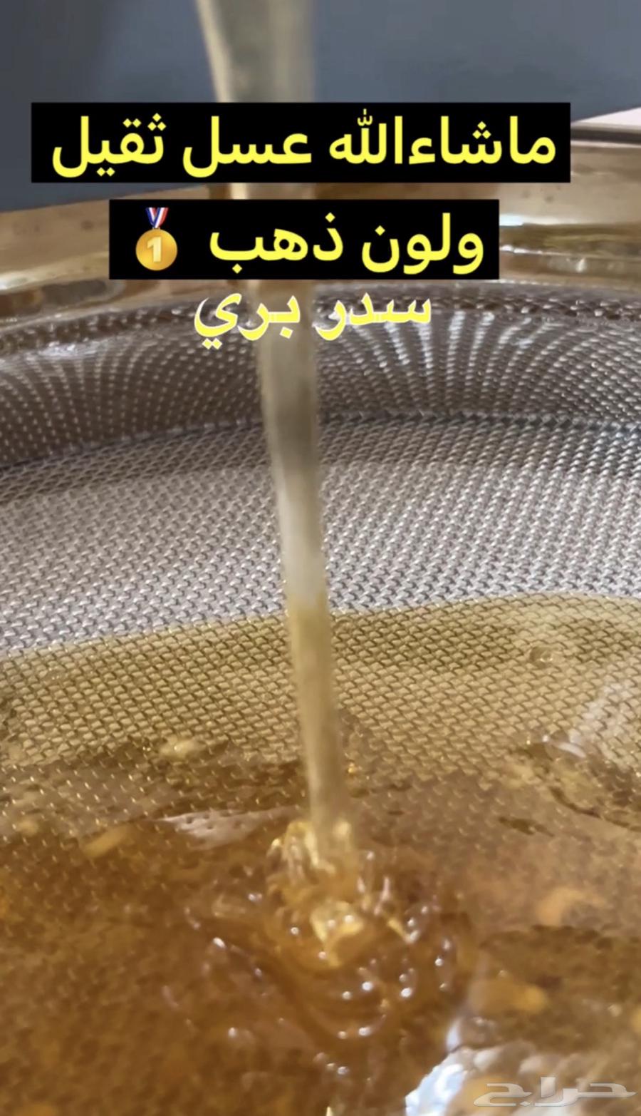 عسل طلح عرض اليوم الوطني 195 للكيلو64409602617346114