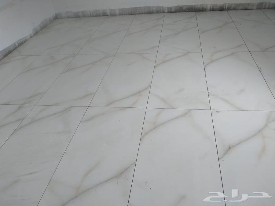 مُبلّط شغل64188471699970111