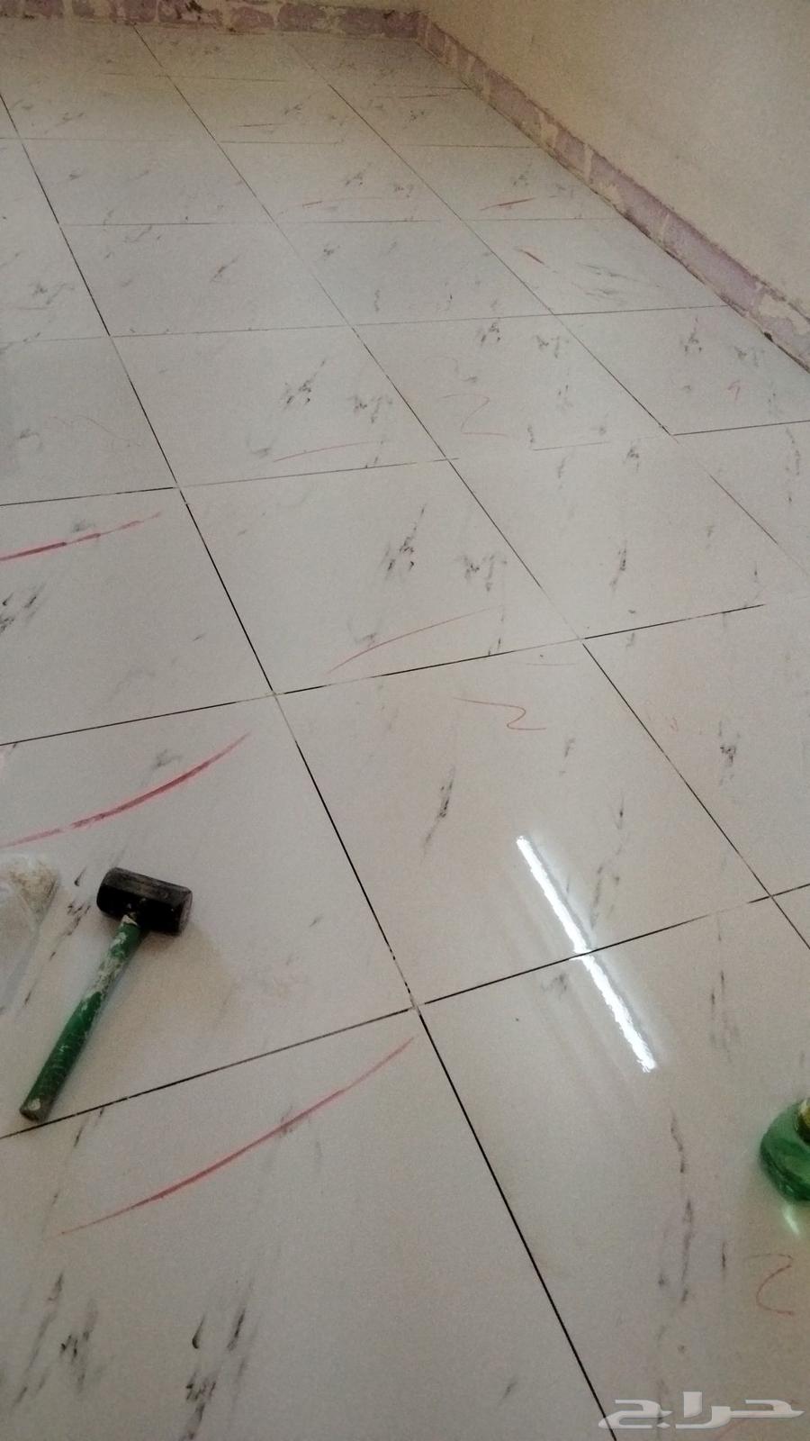 مُبلّط شغل64188471699970113