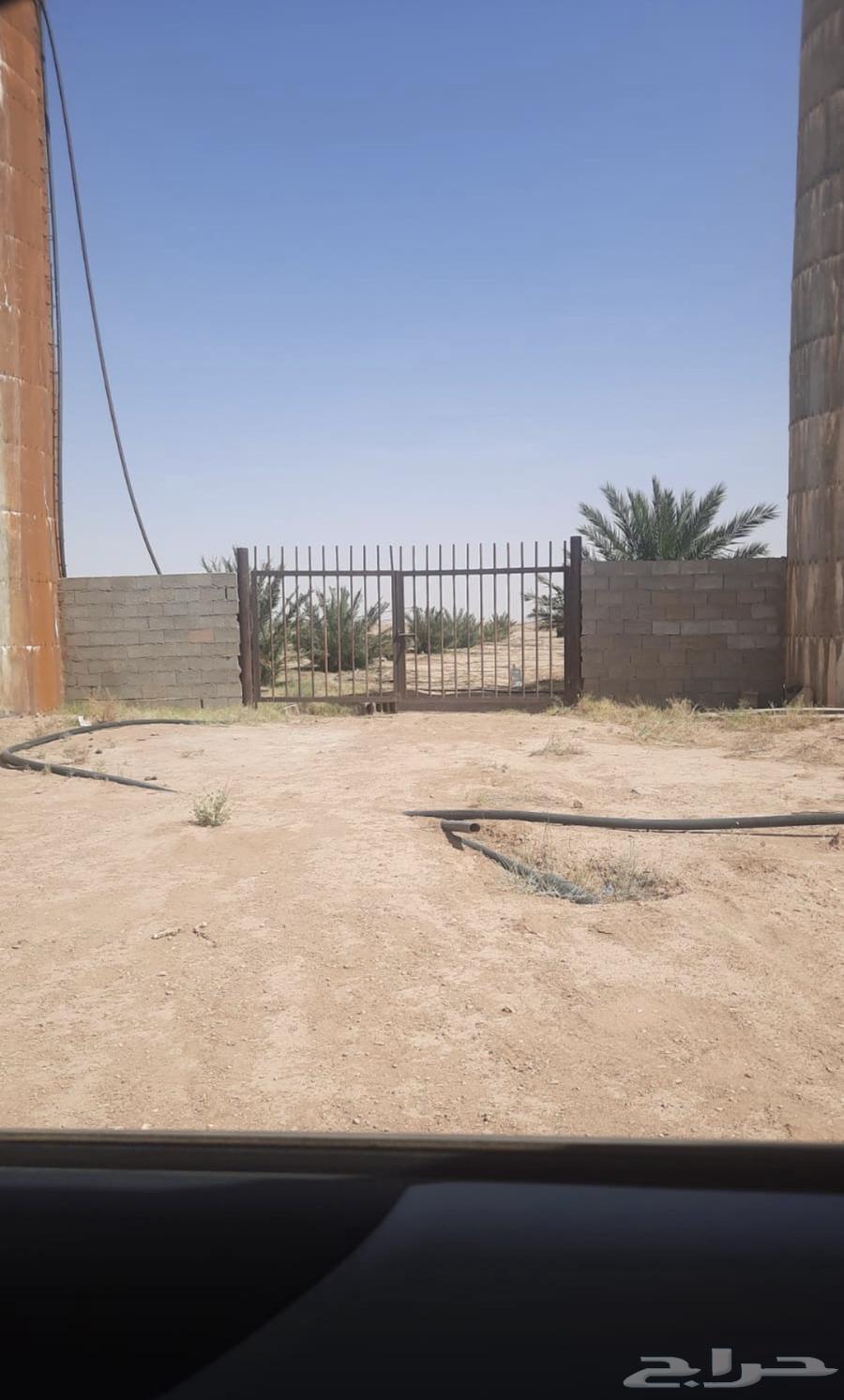 مزرعة للبيع