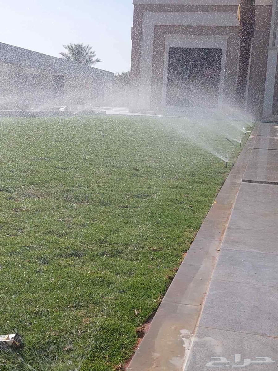 زراعه التيل الطبيعي64189357370627111