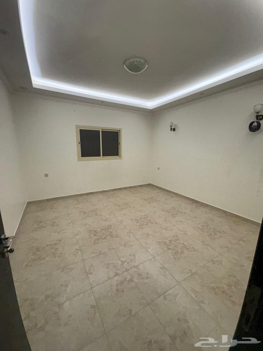 شقة للإيجار