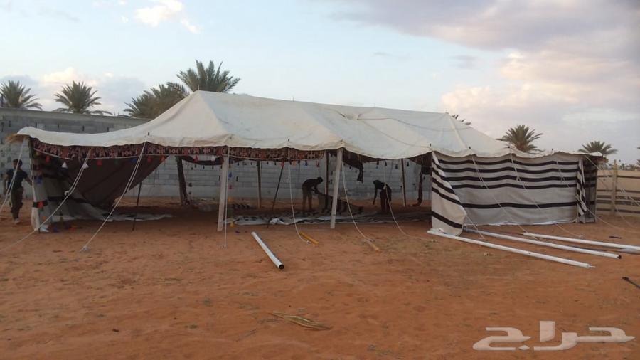 تركيب خيام وبيوت الشعر وخياطه وفتح الدرايش64187607763073112